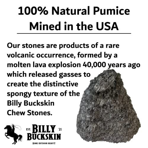 Volcanic Pumice Chinchilla Chew Block L939031