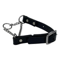 Martingale Collar for Dogs Biothane Stainless Steel Hardware N560
