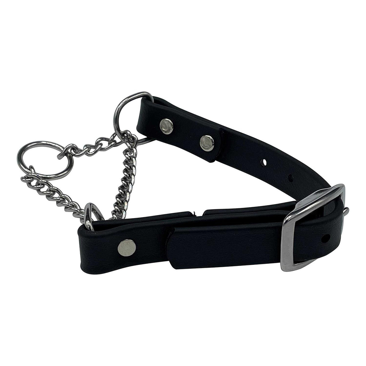 Martingale Collar for Dogs Biothane Stainless Steel Hardware N560