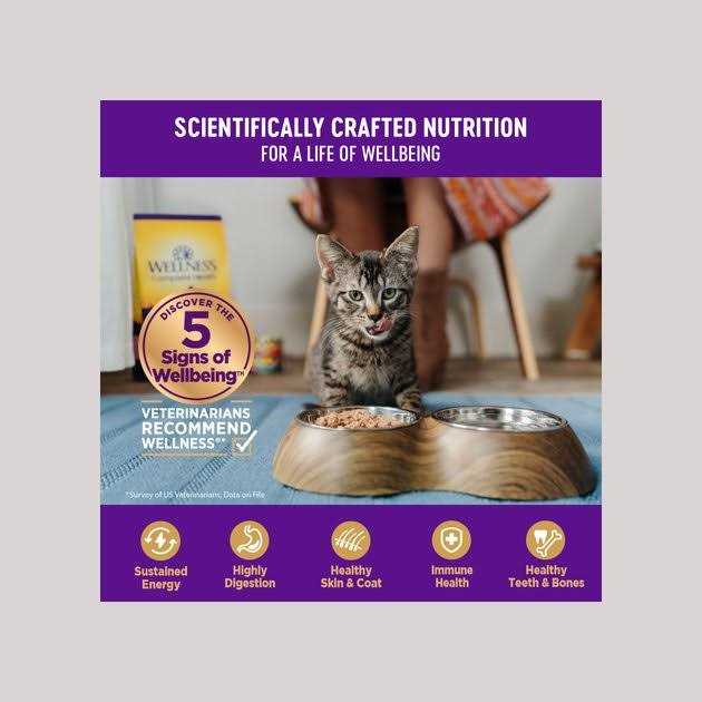 Natural Grain Free Gravy Cat Food Pouch R982