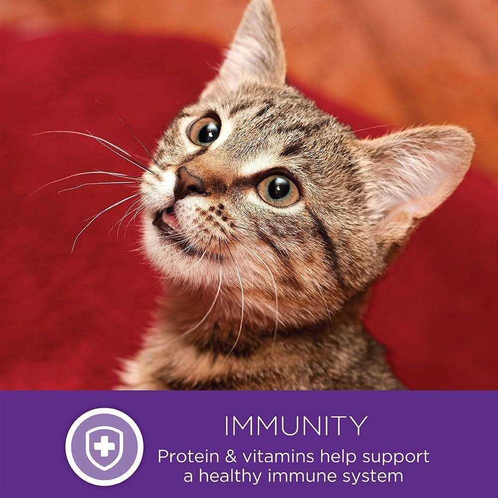 Natural Grain Free Gravy Cat Food Pouch R982