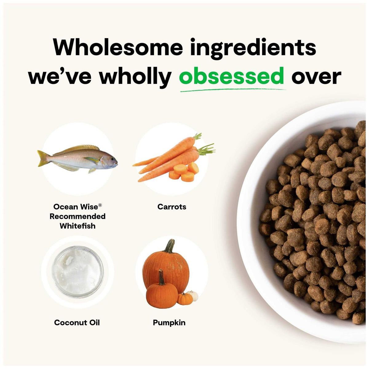 Grain Free Whitefish Dry Dog Food X349