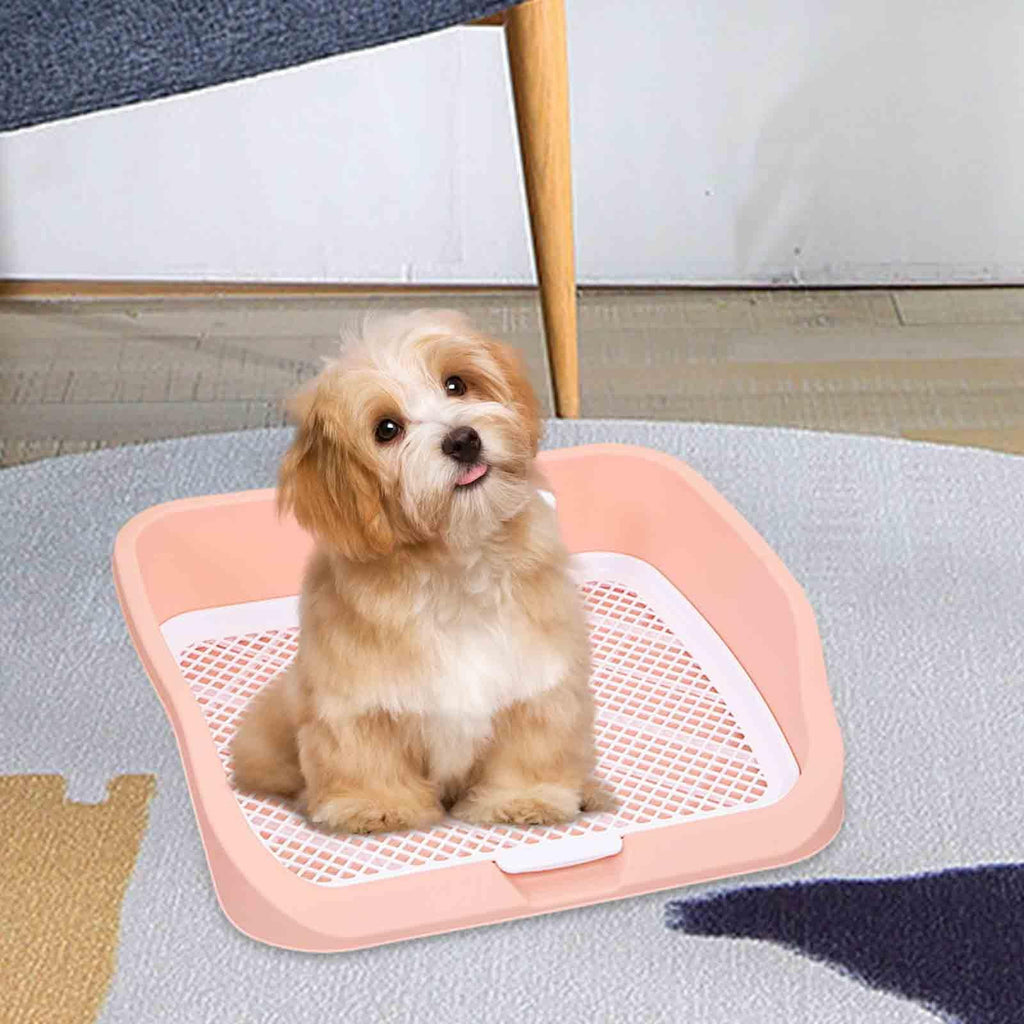 Pet Toilet Training Holder with Dog Potty Pad L46233