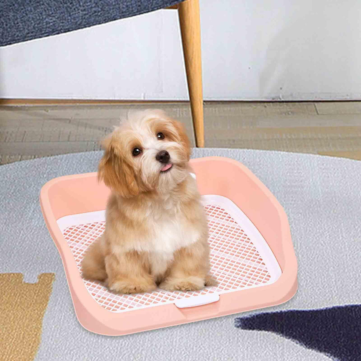Pet Toilet Training Holder with Dog Potty Pad L46233