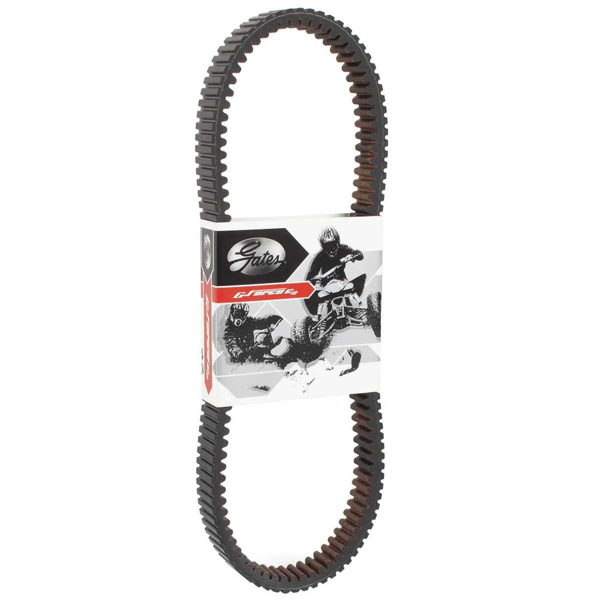 Carbon Cord CVT Belt Y843