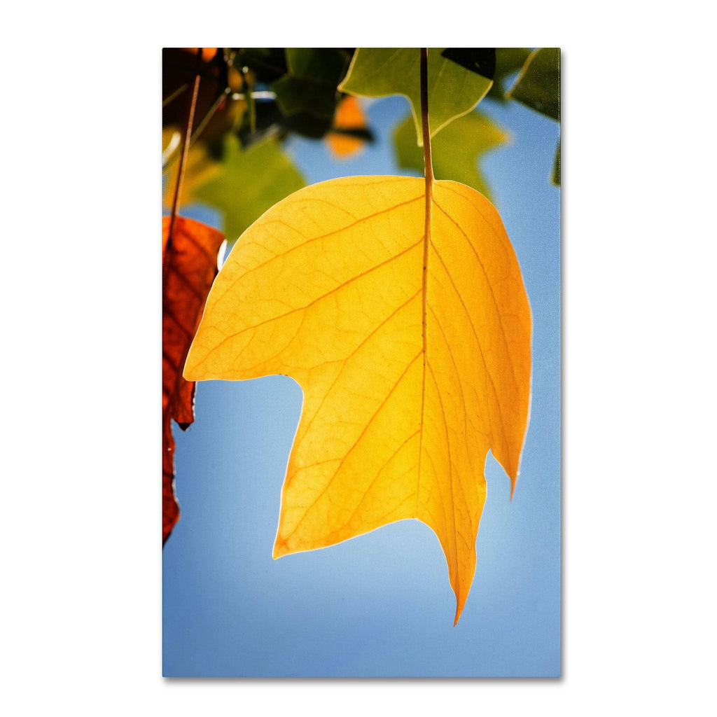 Yellow Autumn Canvas Art J83732