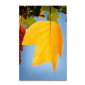 Yellow Autumn Canvas Art J83732