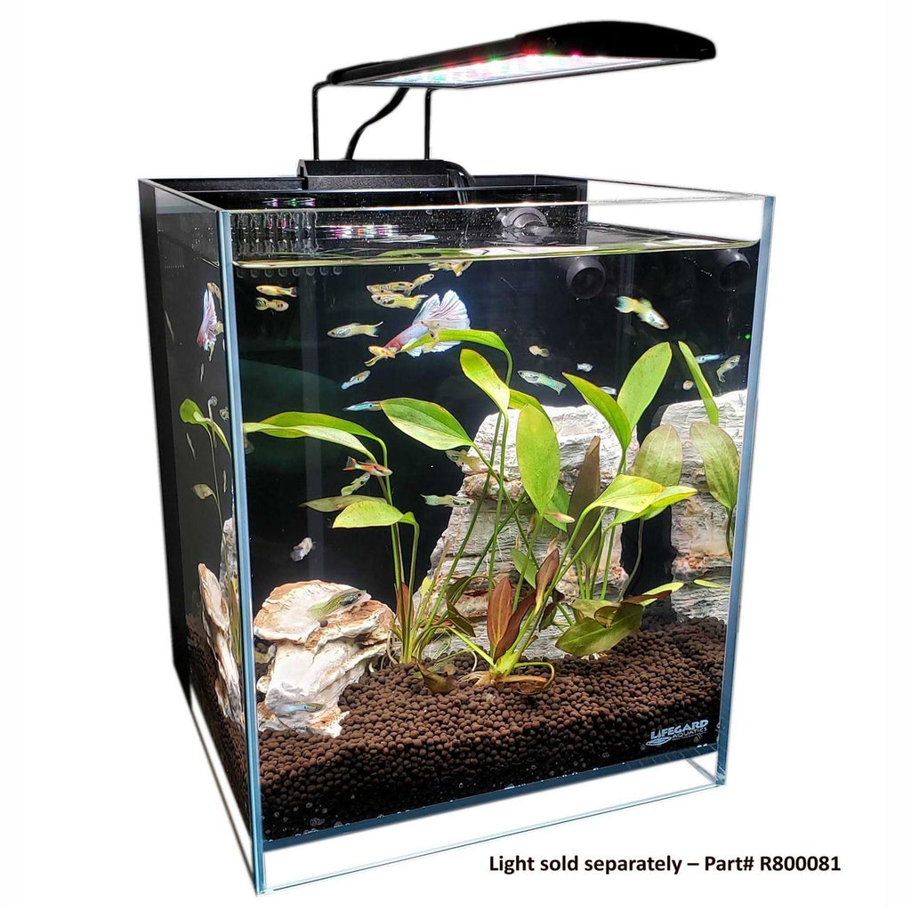 Low Iron Glass Aquarium with Filter O810055