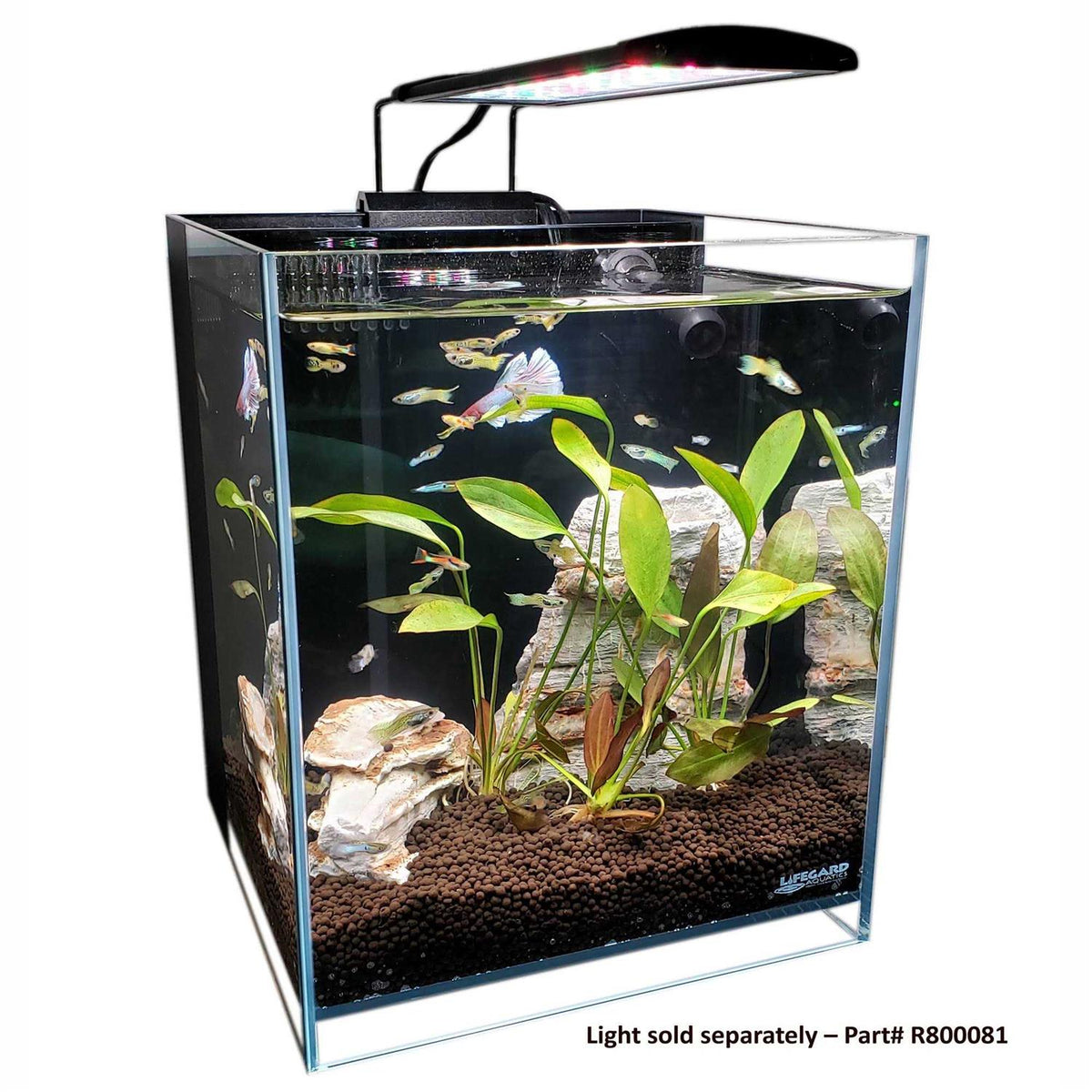Low Iron Glass Aquarium with Filter O810055