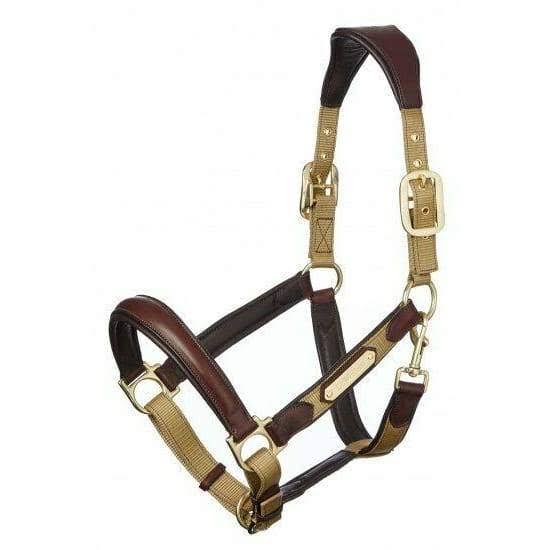 Navy COB Headcollar J915438