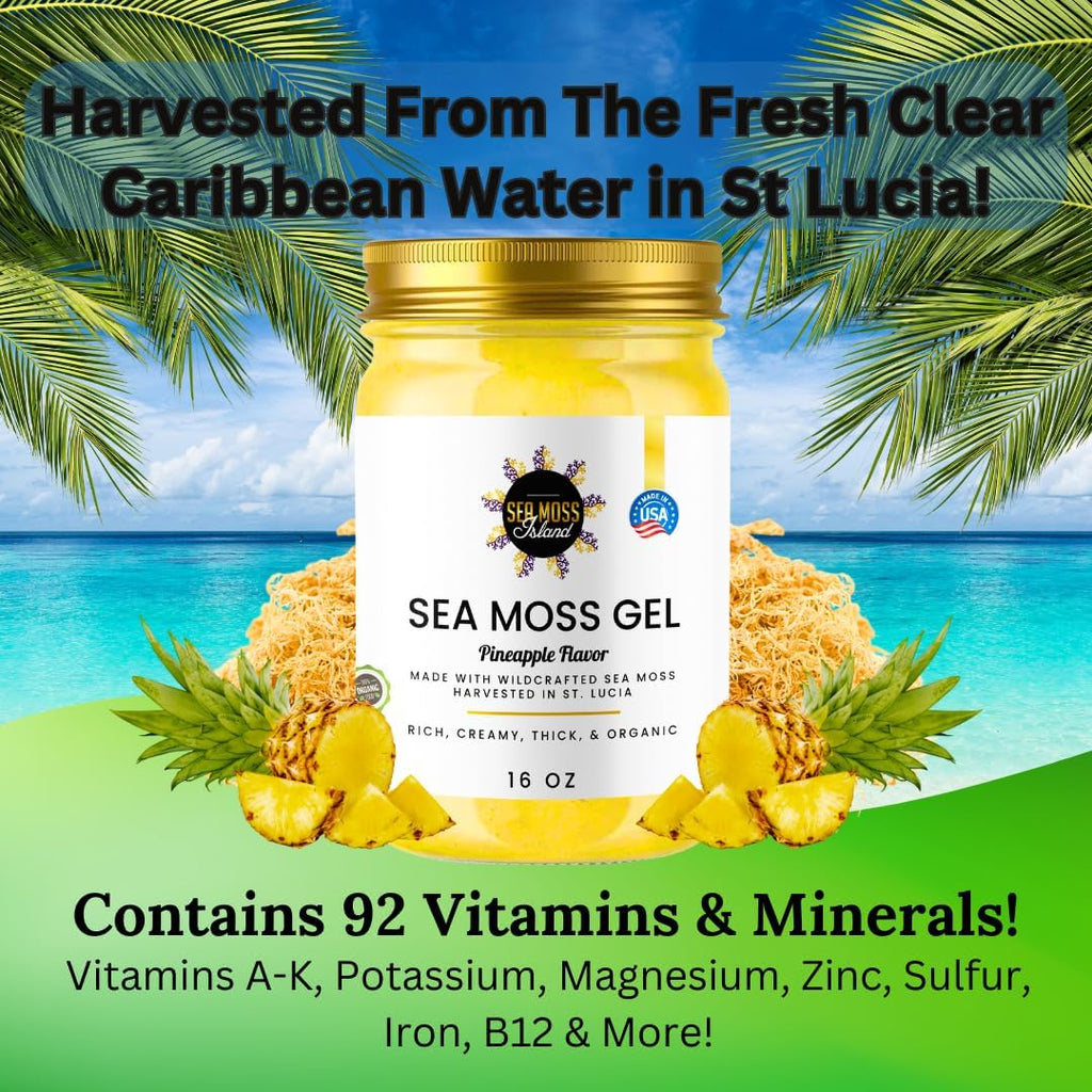 Organic Wildcrafted Irish Seamoss Gel E1829