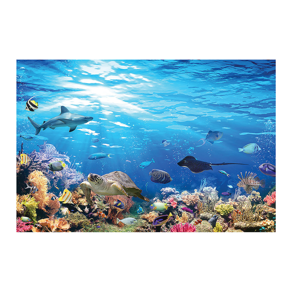 Reef Backdrop H307169