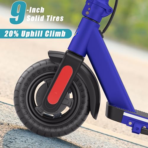 750W Motor Foldable Electric Scooter V5874