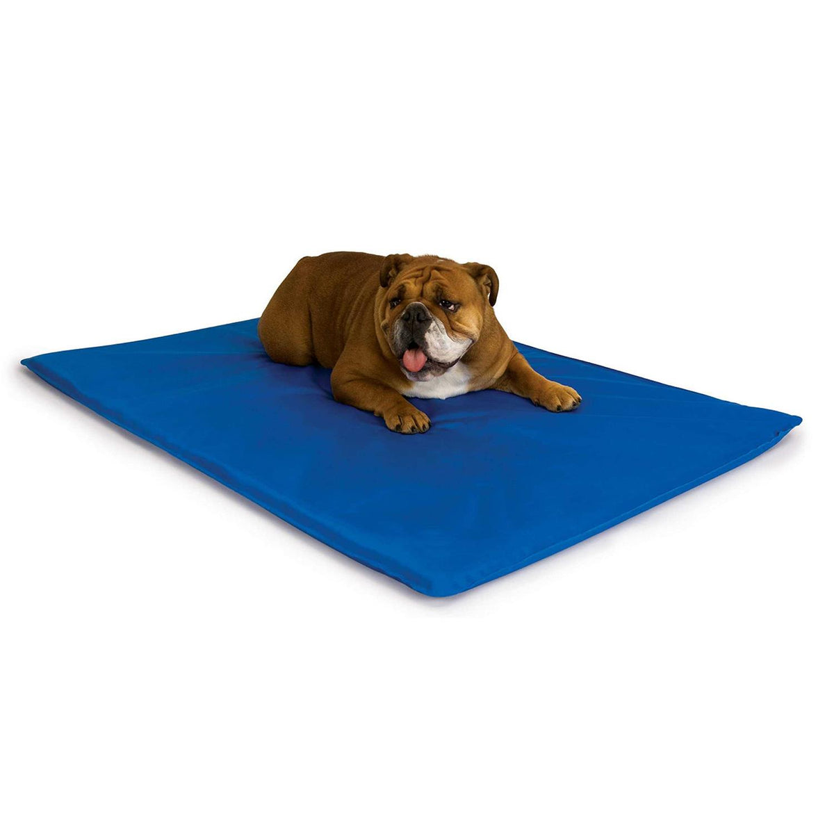 Cool Pet Bed N8879