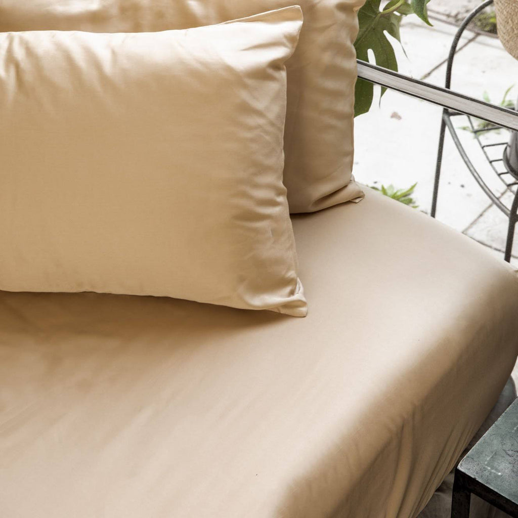 Queen Rose Fitted Sheet G253814