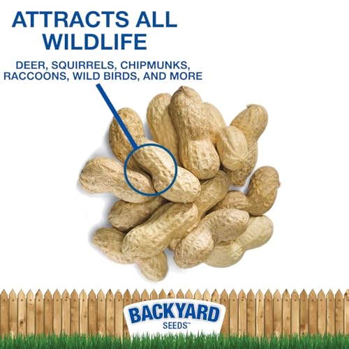 50 Pounds Peanuts in Shell Q2345