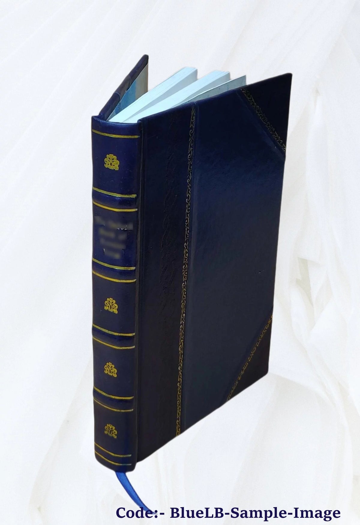 Furniture & Decoration Leather Bound L98324