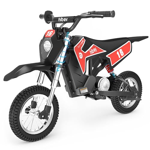 36V 300W Electric Dirt Bike K9113