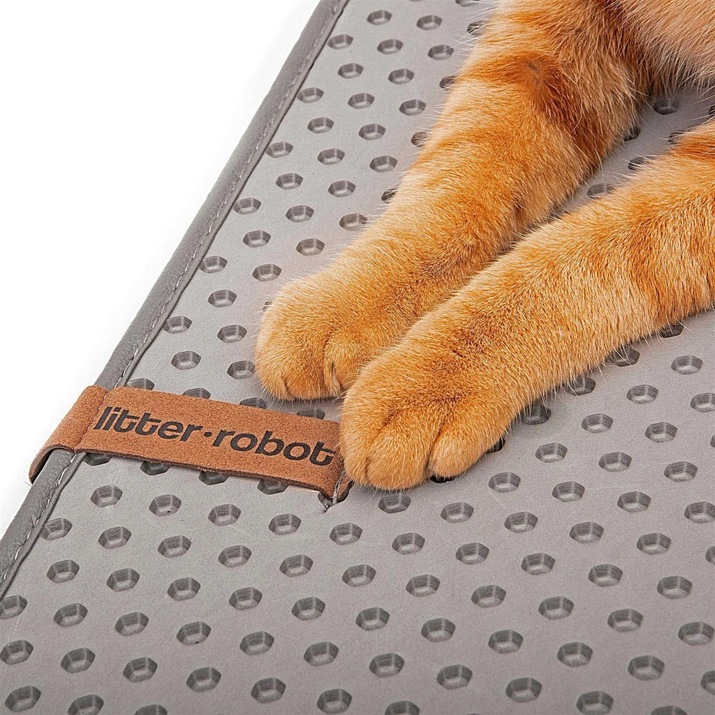 Cat Mat I65824