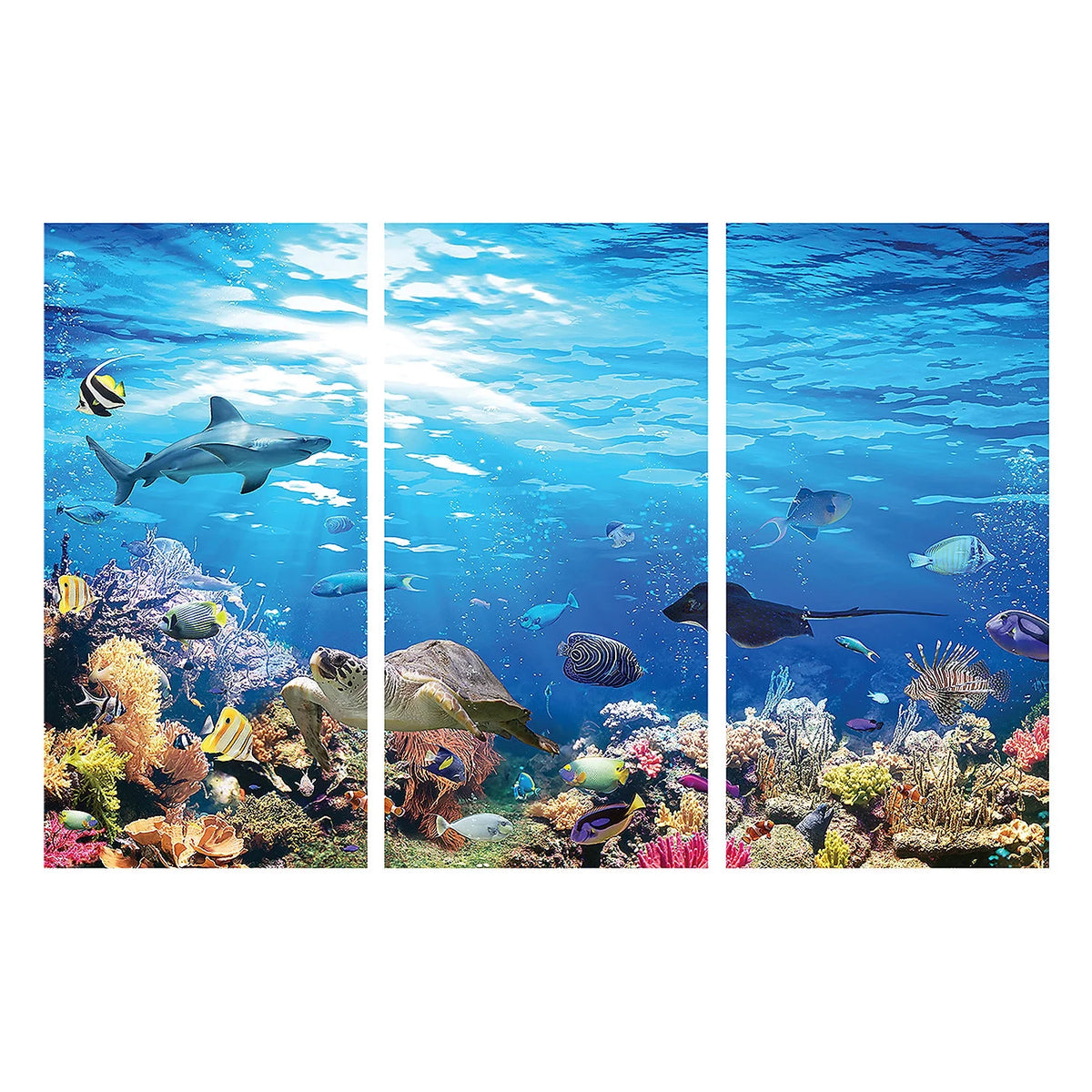 Reef Backdrop H307169