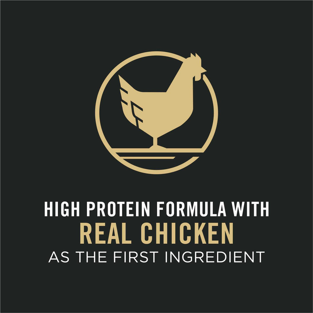 Chicken & Rice Dog Food J950702