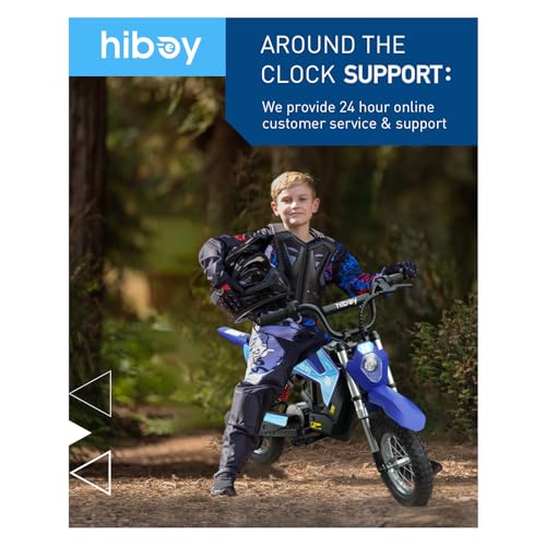 36V 300W Electric Dirt Bike K9113