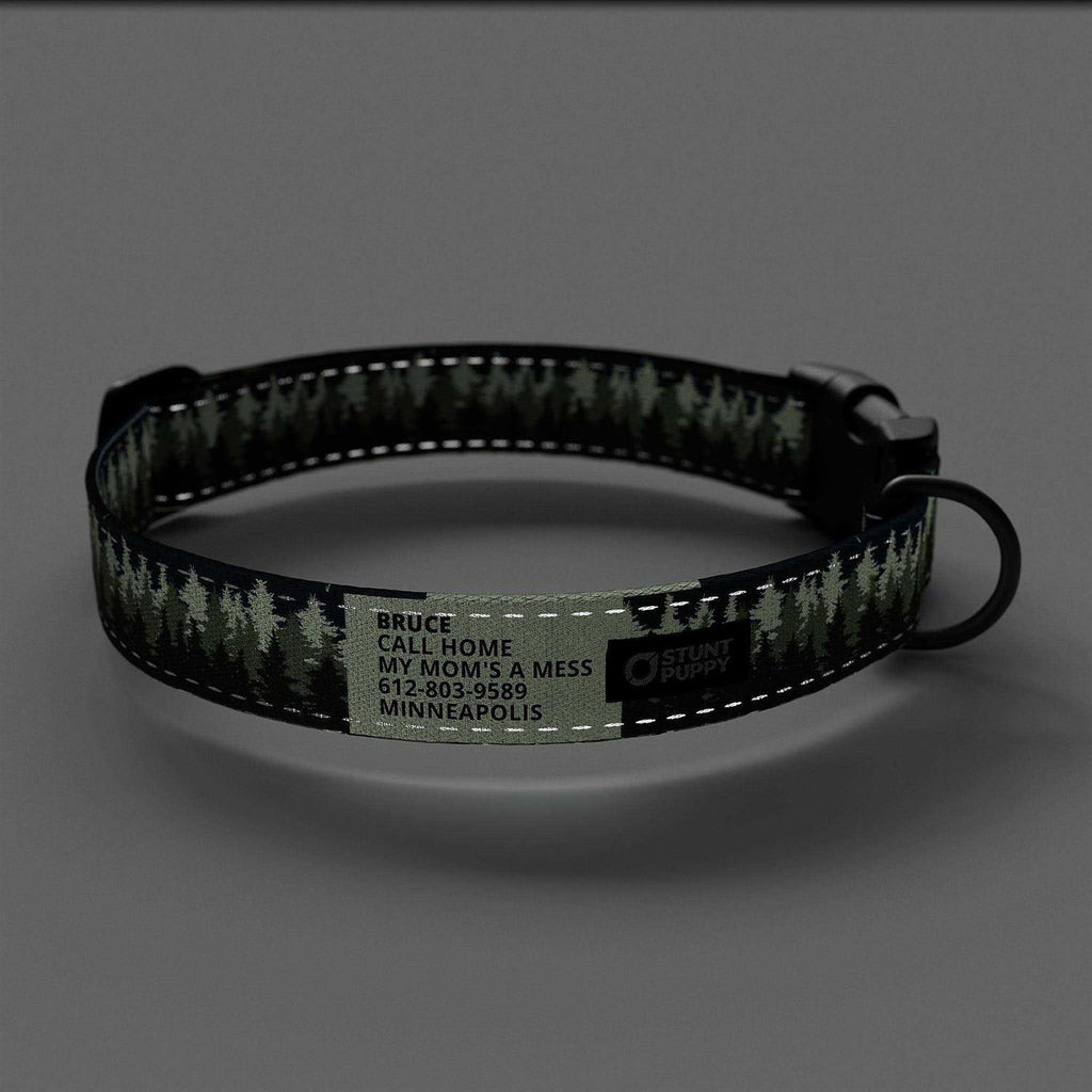 Collar J41779