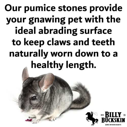 Volcanic Pumice Chinchilla Chew Block L939031