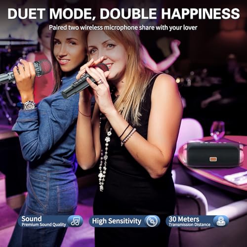 Portable Bluetooth Karaoke Machine with 2 Wireless Microphones A502774