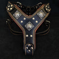 Dog Leather Harness C380775