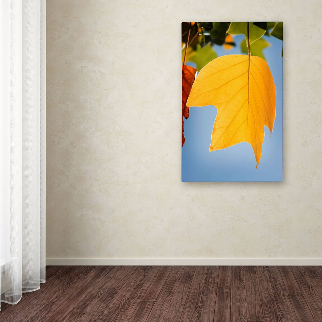 Yellow Autumn Canvas Art J83732