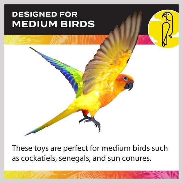 Cockatiel Ladder K6048