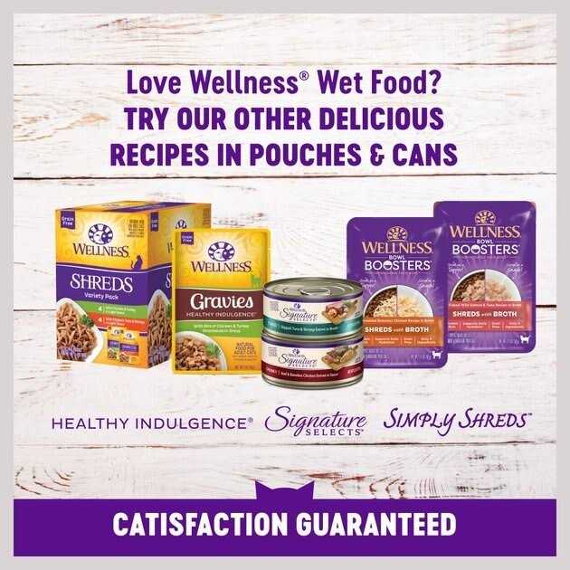 Natural Grain Free Gravy Cat Food Pouch R982