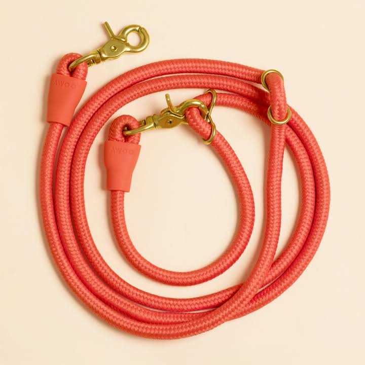Leash Q24227