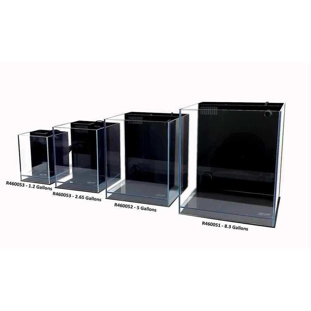 Low Iron Glass Aquarium with Filter O810055