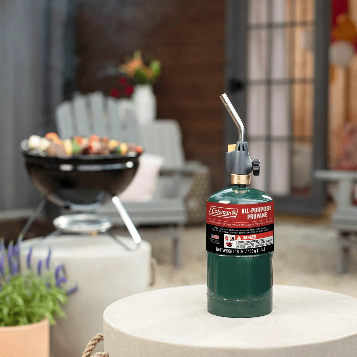 16 ounce 2-Pack Propane Gas Cylinder Z77505