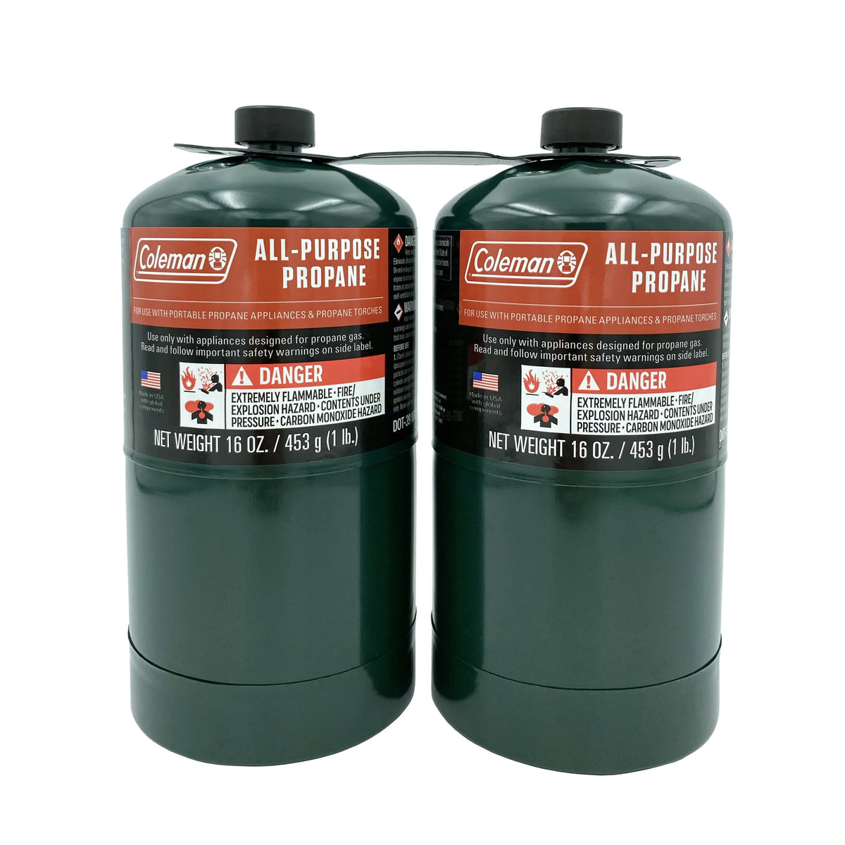 16 ounce 2-Pack Propane Gas Cylinder Z77505