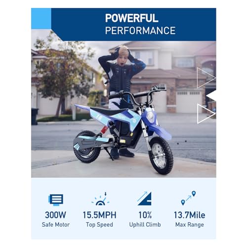 36V 300W Electric Dirt Bike K9113