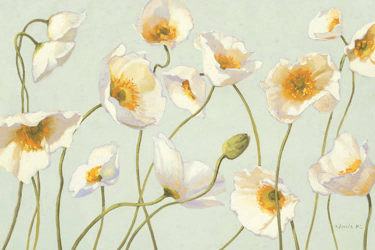 White and Bright Poppies Canvas Wall Decor Prints S8704