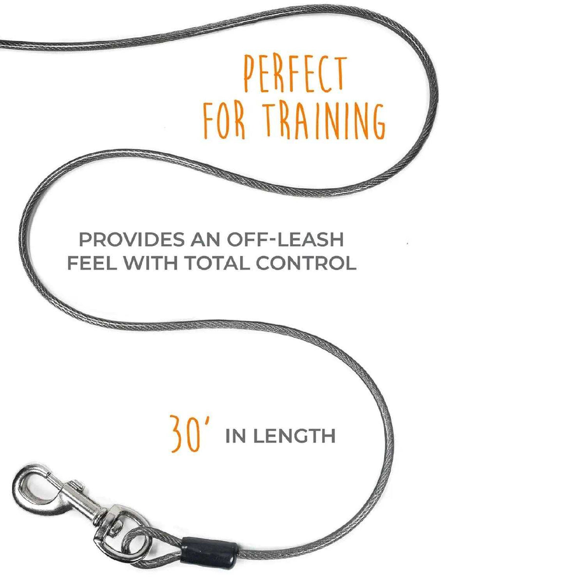 Dog Tie Out Cable A251931