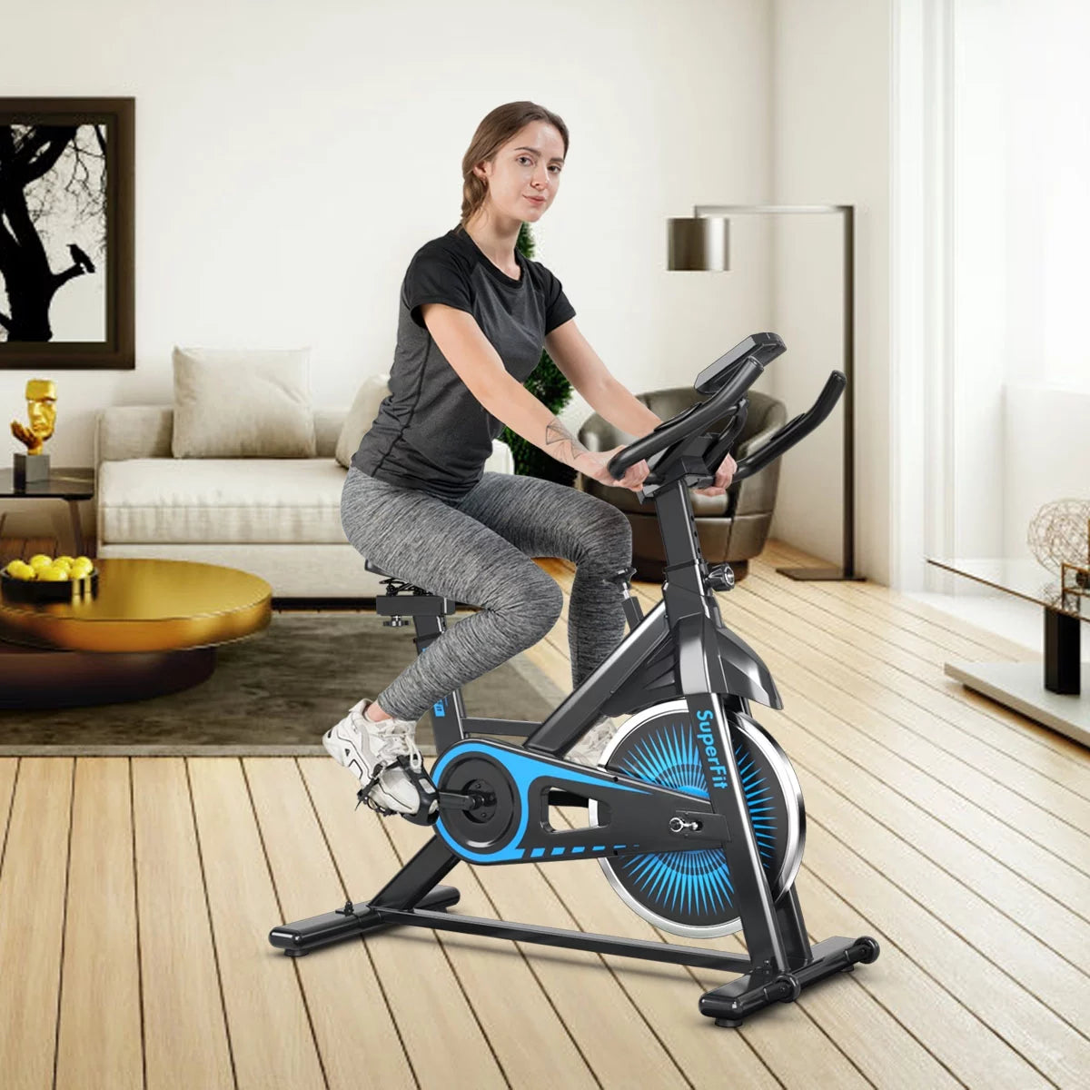 Indoor Cycling Stationary Bike Belt Drive Adjustable Resistance H589