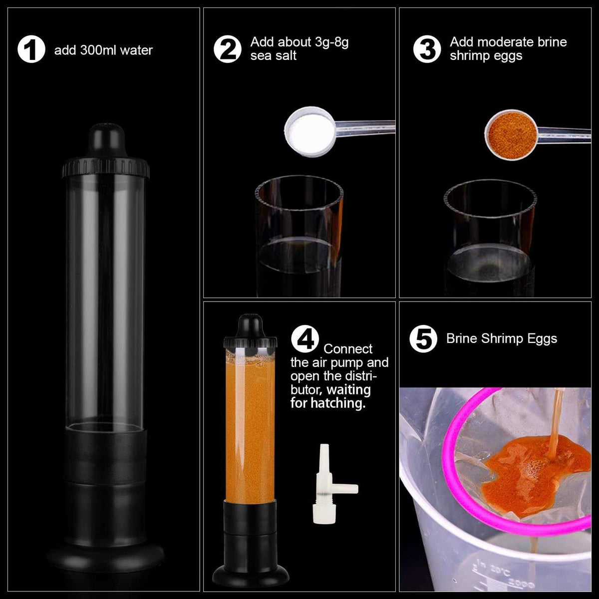 Brine Shrimp Eggs Hatchery Kit T769