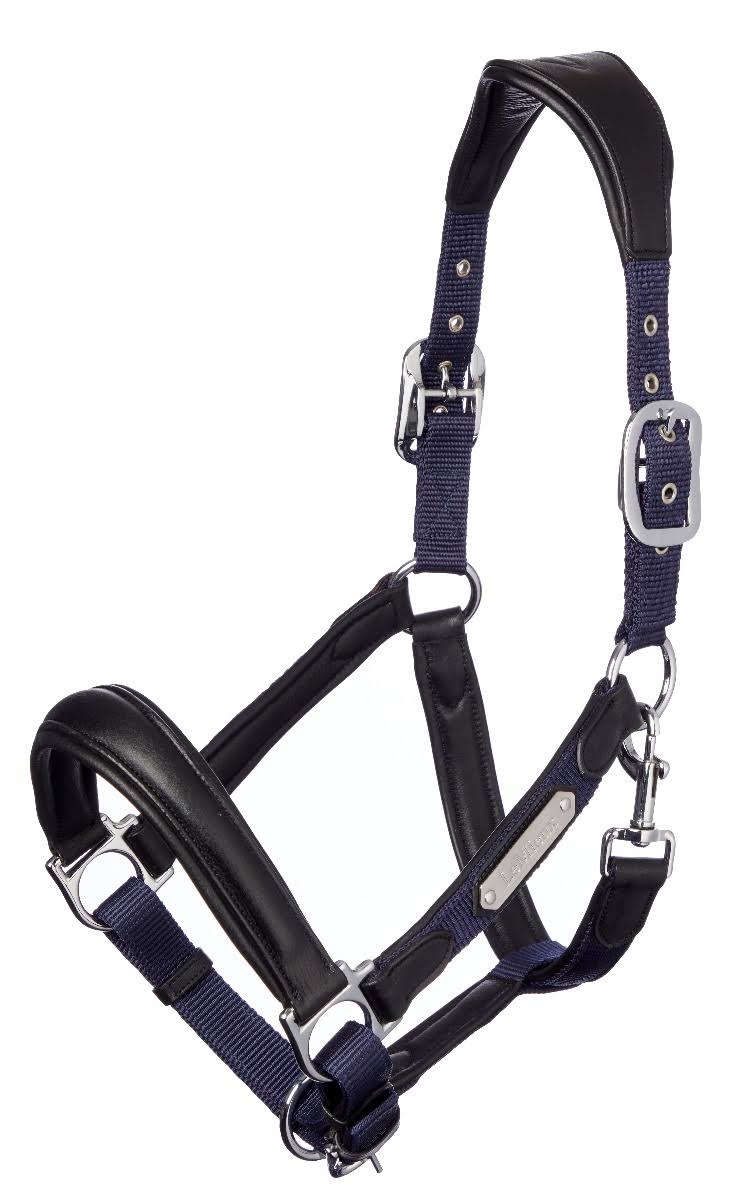 Navy COB Headcollar J915438
