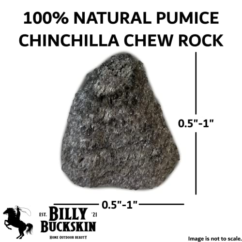 Volcanic Pumice Chinchilla Chew Block L939031