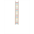 Cockatiel Ladder K6048