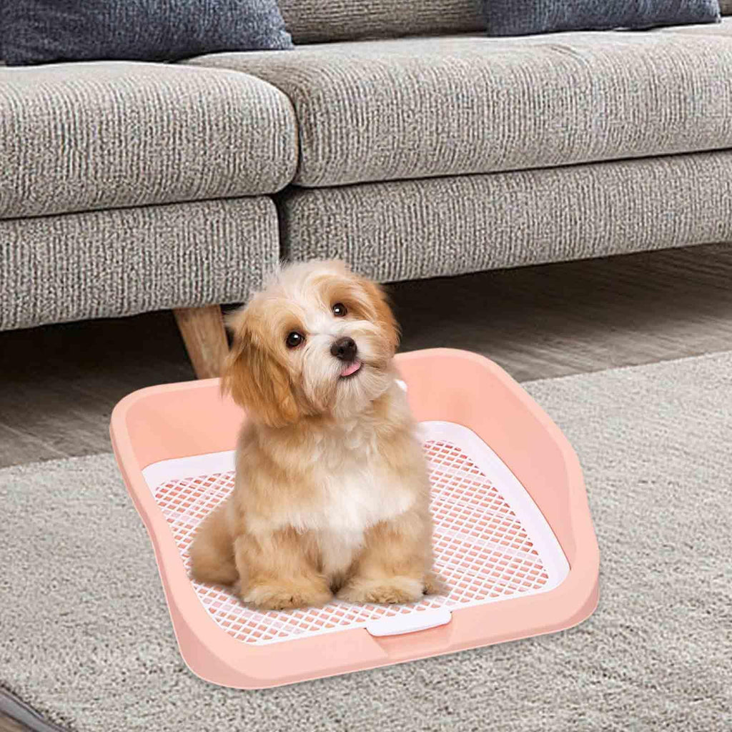 Pet Toilet Training Holder with Dog Potty Pad L46233