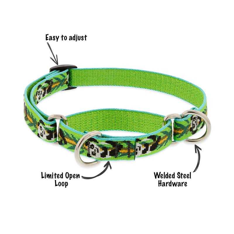 Martingale Collar I717