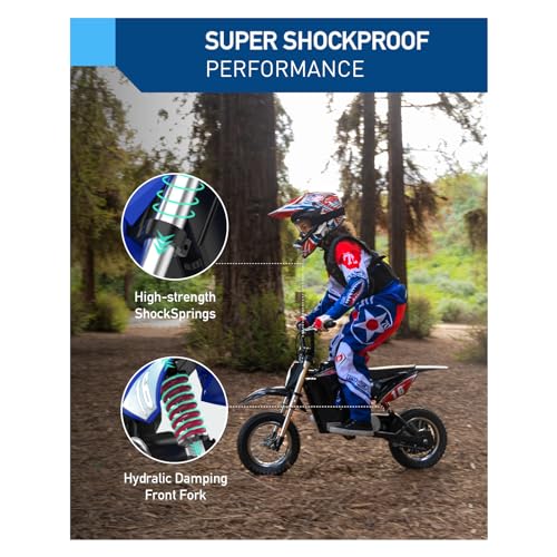 36V 300W Electric Dirt Bike K9113