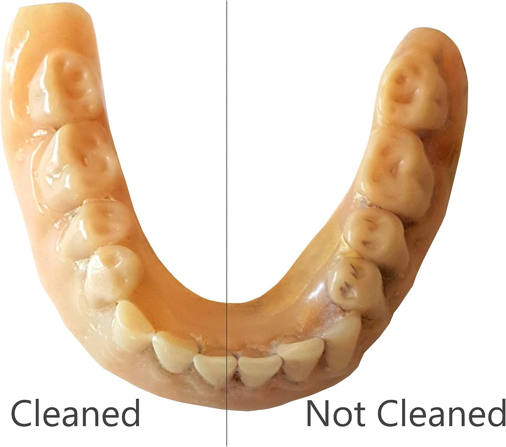 White Ultrasonic Denture Cleaner, 0.4Pt/0.2L A1608