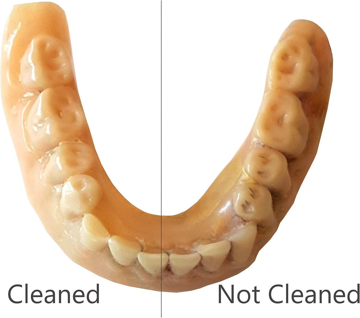 White Ultrasonic Denture Cleaner, 0.4Pt/0.2L A1608
